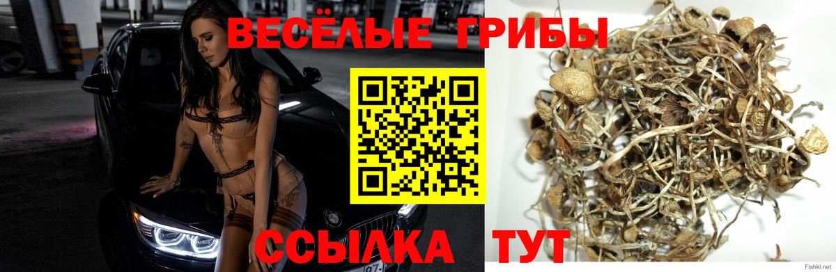 Галлюциногенные грибы мухоморы  Вход с VPN  Псилоцибиновые грибы Cubensis  Кировск 